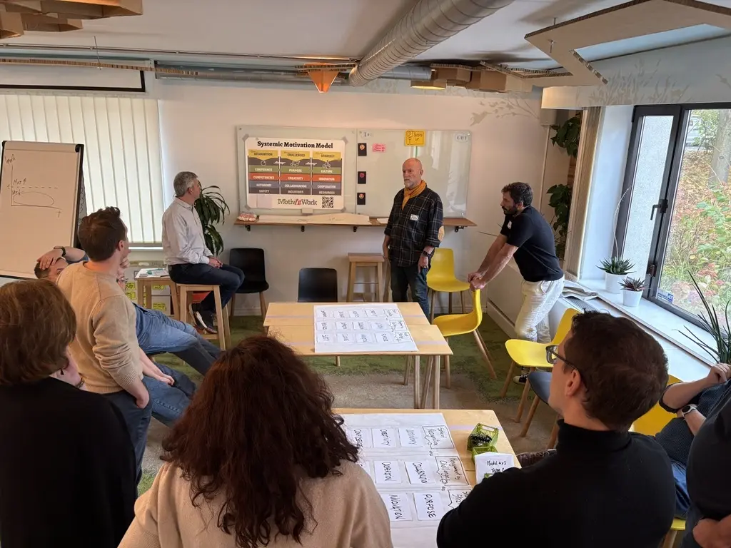 Systemic Motivation at Work 3-module Program